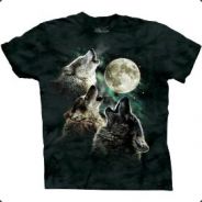 EMCON33 - steam id 76561197971121193