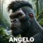 ANGELO THE APE!