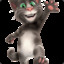 Talking Tom