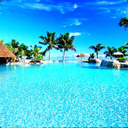 捡到一只小黑猫