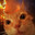 (っ◔◡◔)っ♥meow meow♥