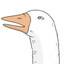 Alcor