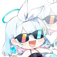 我要成为蔚蓝档案高手