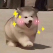 水枪装尿滋谁谁叫