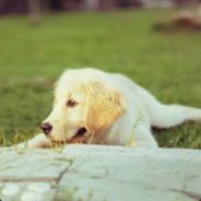 恶魔看透了你的心