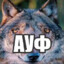 Ауфич7