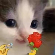 瓢瓢瓢瓢瓢瓢瓢