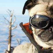 болотный сосок