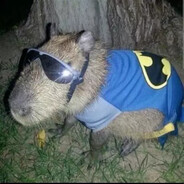 Cooler Capy
