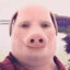 John Pork