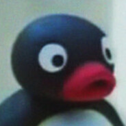 noot noot