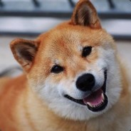 Хабибобаба