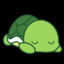 UnknownTurtle