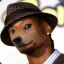 SnoopDoge