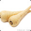 Parsnipidippius