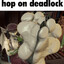 that hoe