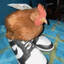 Balling chicken