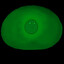 Aloe_v_Slime