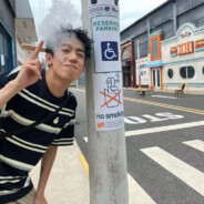 西伯利亚老母牛