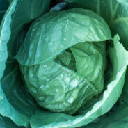 卷#CSGO周年快乐