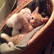 mittens