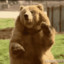 Ludde__