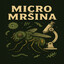 Micromršina