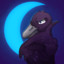 Perplexed_Raven