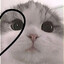 𝘈𝘴𝘩𝘯𝘪𝘬𝘰 ♡