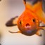 Awestruckfish