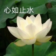 忘言.