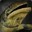 Slippery Salamander
