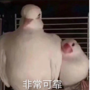 天下乌鸦一般黑