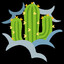 lostcactus