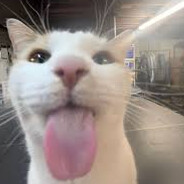 ᵇᵃⁿ·ᵒᶠⁱᶜⁱᵃˡ