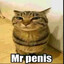 Mr. Penis