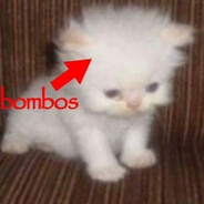 h8's avatar
