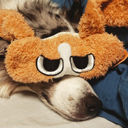 正版游戏的受害者