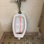 Urinal Beef