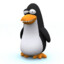 sillypengu