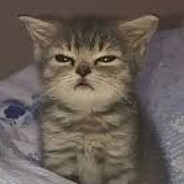 KobeRanOutOfLowgrade