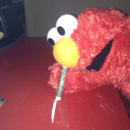 ELMO