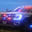 Lspdfr031see