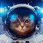 Astro-Cat