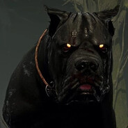 SnugIsAGoodBoy