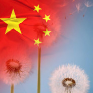 嫂子请不要摸我