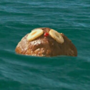 Rum Ham Steam avatar