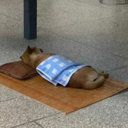 阿黄的游戏人生