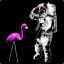 SpaceFlamingo