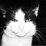 Настенька Кусок Бесполезности